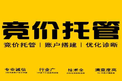 突破SEO困境：托管竞价SEM实战案例